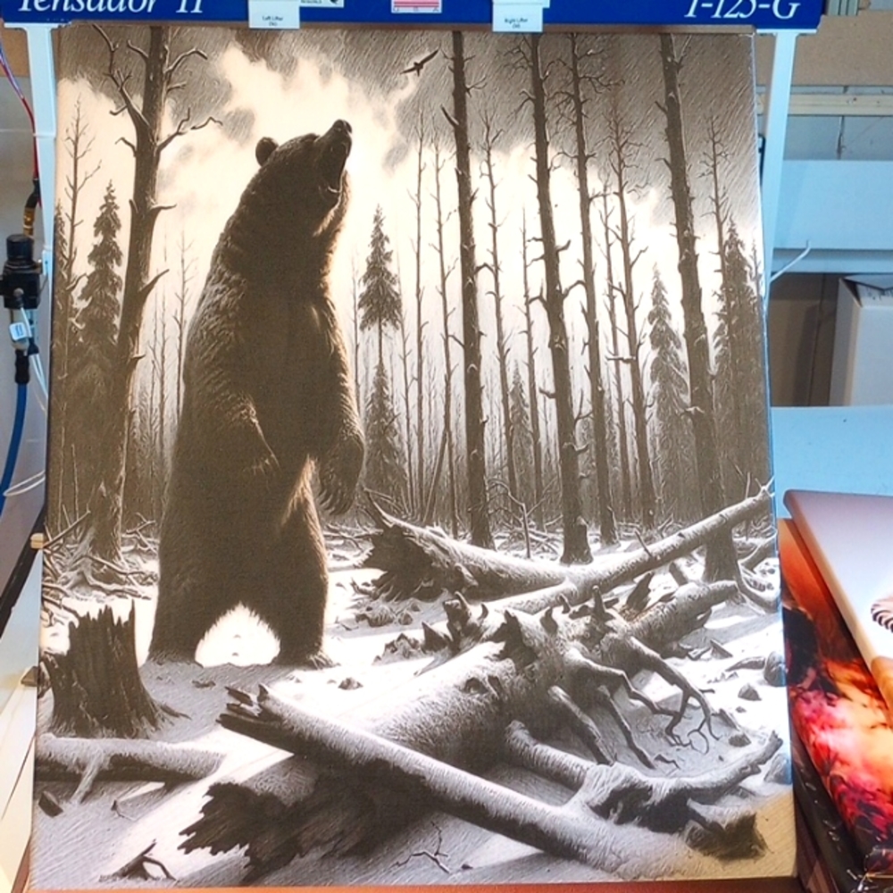 Canvas picture Bear Black and White